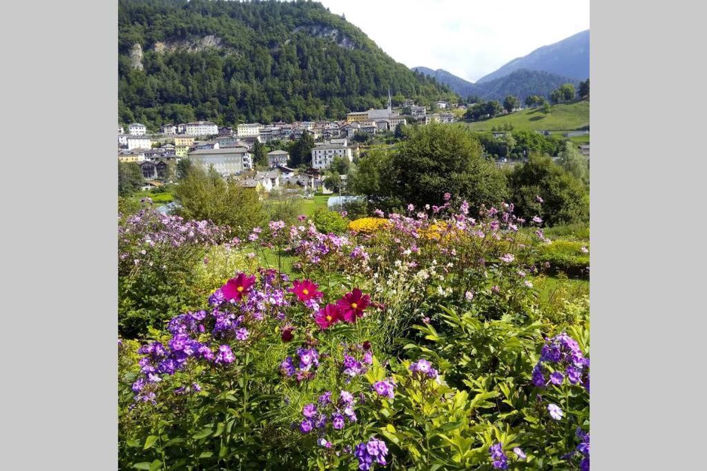 Chalet Maso Fradea Family Resort Castello Tesino Buitenkant foto
